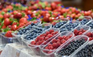 Upitan izvoz voća iz BiH u Rusiju, milionske gubitke zbrajaju voćari i prevoznici